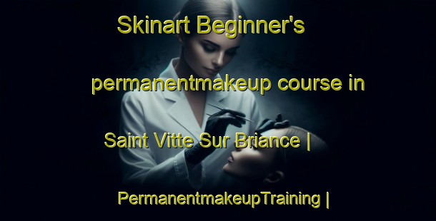 Skinart Beginner's permanentmakeup course in Saint Vitte Sur Briance | PermanentmakeupTraining | PermanentmakeupClasses | SkinartTraining-France